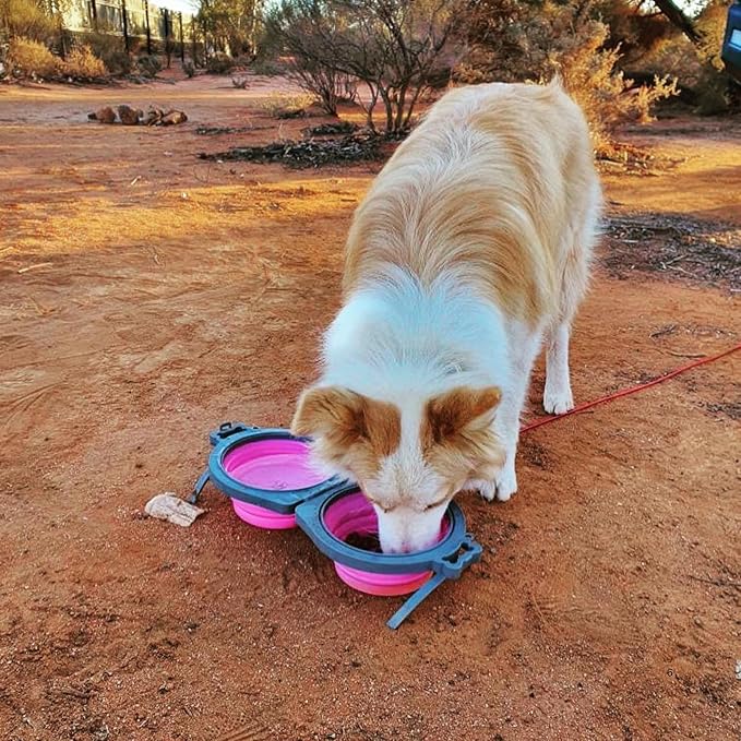 Loving Pets Bella Roma Double Diner Collapsible Dog Bowls - Silicone Dog Bowls, Foldable Bowl, Puppy Essentials & Hiking Pet Supplies Great for Home & Travel (Pink, Small)