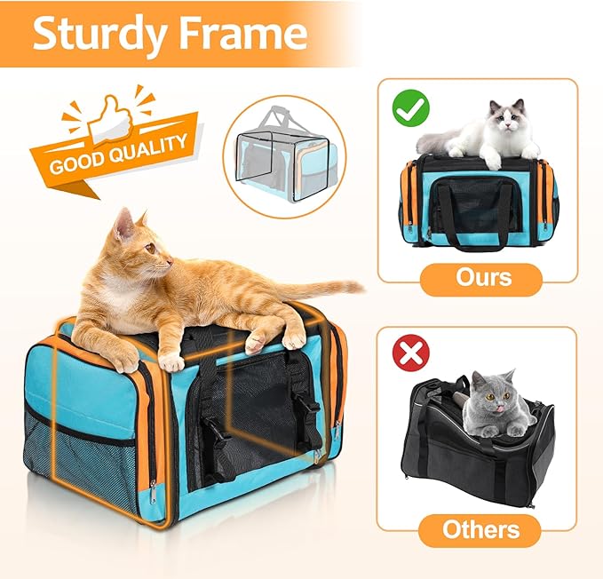 Discala Large Cat Carrier, Pet Carrier, Dog Carrier for Small Dogs, Cat Carrier Soft, Collapsible Large Pet Carrier for Traveling Indoor and Outdoor Uses - Blue 20"x13"x13"