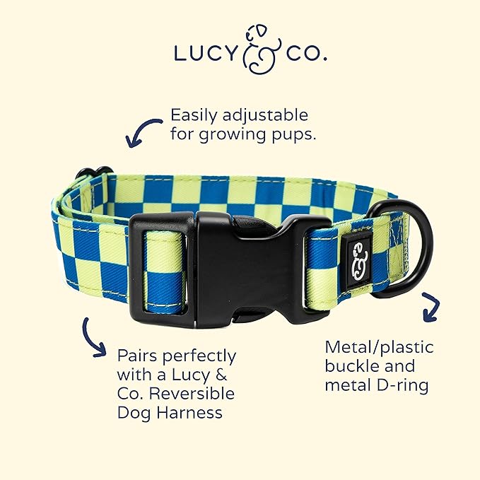 Lucy & Co. Have a Nice Day Dog Collar - Durable Lightweight Designer Collar for Pets - Adjustable Metal Safety Buckle - Lime Green Blue Checker - Small