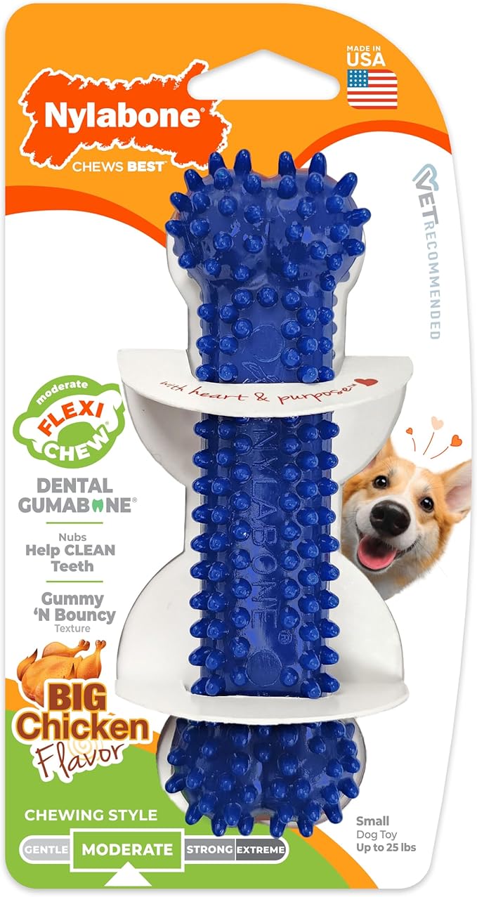 Nylabone Textured Dental Bone Flexi Chew Toy for Dogs, Dog Toys for Moderate Chewers, Chicken Flavor, Small - Up to 25 Ibs, 1 Count