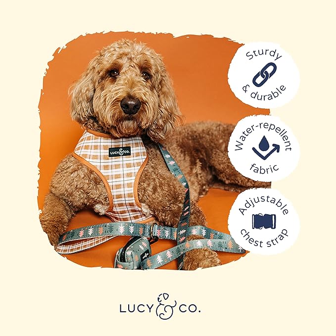 Lucy & Co. Take a Hike Reversible Dog Harness - Best Designer Pet Harnesses for XS - XL Dogs - Padded Adjustable Vest for Easy Walking (X-Small, Neutral Brown Plaid with Blue Trees)