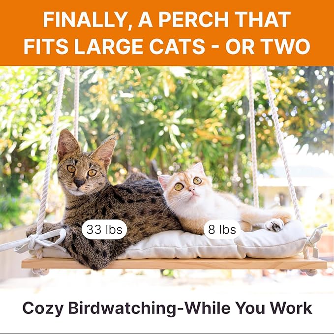 Large Cat Window Perch with Industrial-Grade Suction Cups – Solid Pine Wood Hammock Bed, Soft Cushion - 42 lb Capacity for Heavy Cats Inside