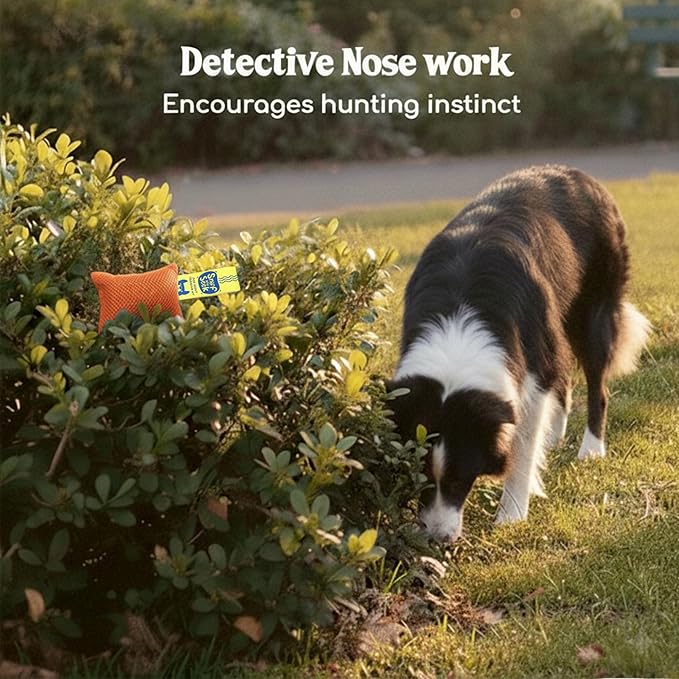 Race&Herd Original Dog Scent Training Kit, Scent Work Training Kit for Dogs - Nosework for Dog Mental Stimulation Agility Training Equipment for Dogs, Brain Games Smell Training Kit for Loss of Smell
