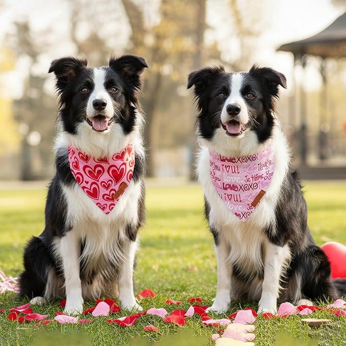 ADOGGYGO Valentine Dog Bandanas 2 Pack, Reversible Heart Love Print Pet Scarf, Premium Fabric, Adjustable Fit Pink Red Valentine Bandanas for Medium Large Dogs (Large)