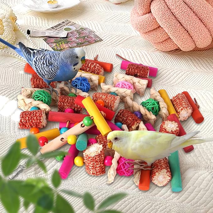 Kyouki Parrots Toys for Cockatiels, Budgies, Conures, Lovebirds, Quakers, Parrotlets, Caiques, Senegals, Meyer's & Other Small/Medium Birds - Natural Chewing & Foraging Toy with