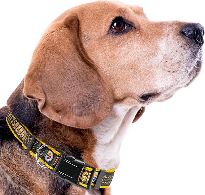 Pets First NFL Pittsburgh Steelers Licensed PET COLLAR, Small - Heavy-Duty, Strong, and Durable Dog Collar. Available in 31 Football Teams and 4 Sizes