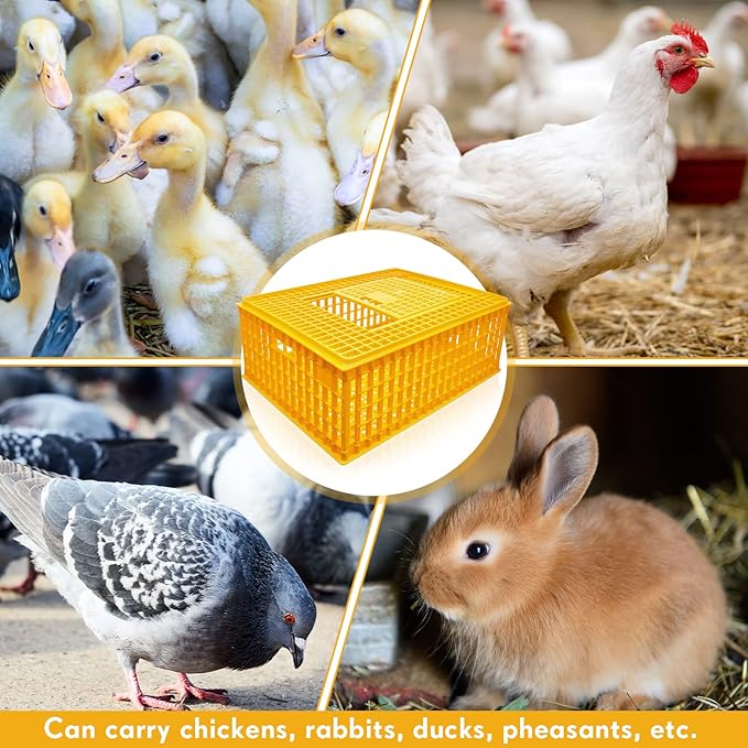 Sintuff Poultry Carrier Crate Plastic Chicken Transport Cage Bird Carriers Chickens Carrier Travel Crate Basket Box for Poultry Chicken Bird Duck Goose, 29.5 x 21.7 x 11.6 Inch(4 Pcs)