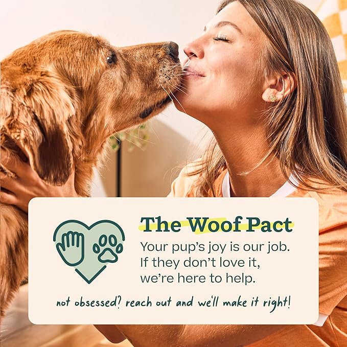 WOOF Pupsicle Refill Pops, Delicious Long Lasting Dog Treats, Pre-Made Pupsicle Refills for Dogs, Wholesome Ingredients, Low-Mess Chicken Pet Treats - Small Pops - 10 Count - 2 Pack