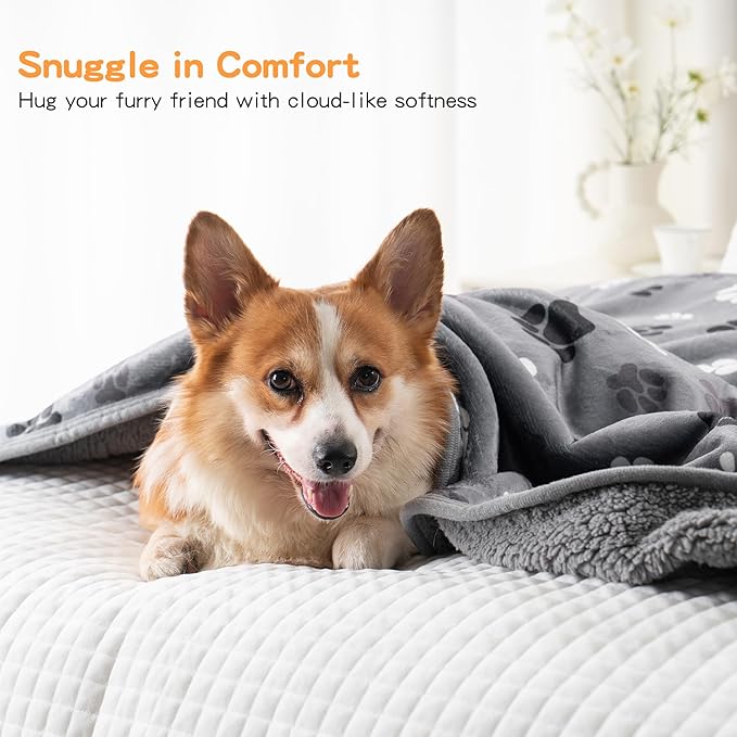 Waterproof Dog Blankets Pet Blanket 60"x80", Soft Fluffy Sofa Car Bed Protector, Reversible Sherpa Fleece Dog Blanket for Large Dogs (Dark Grey-Paws)