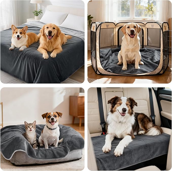 LOOBANI Waterproof Dog Blanket for Bed: Spill-Proof Puppy Blankets for Small Medium Dogs Washable, Reversible Soft Flannel Pet Throw for Couch Sofa Cover, Crate, Travel, Picnic, 30" x 40", Grey