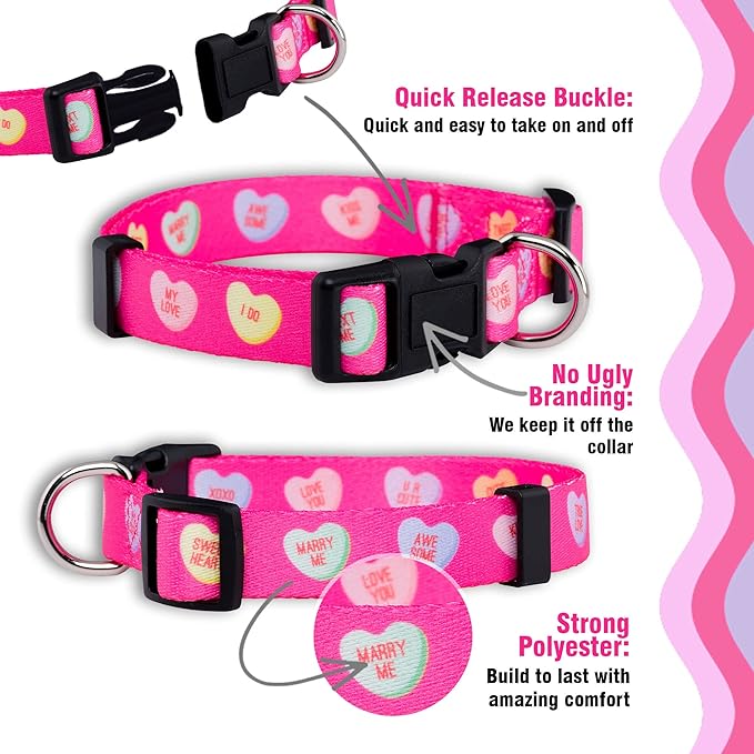 Native Pup Valentine’s Dog Collar- Valentines Day Pet Collars- Valentine Girly Hearts- Pink Red Heart- Cute Boy Girl Puppy Gift- Adjustable for Small, Medium, Large Breeds (Candy Hearts, Medium)