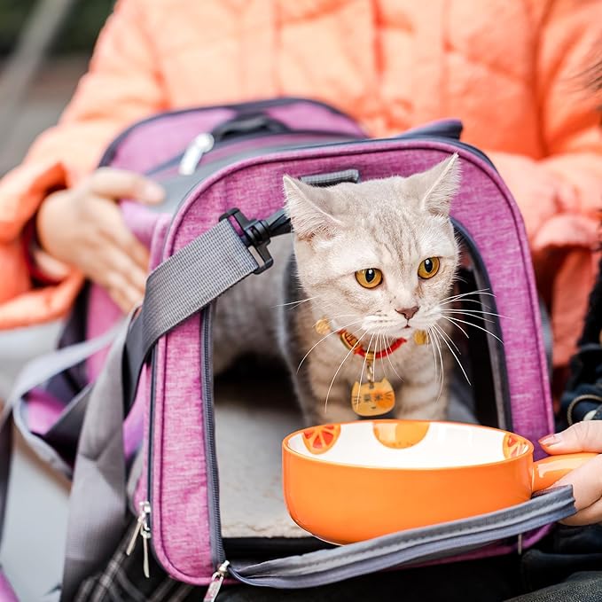 Mr. Pen- Pet Carrier, Pink, Soft-Sided Cat & Dog Carrier, Bag for Travel