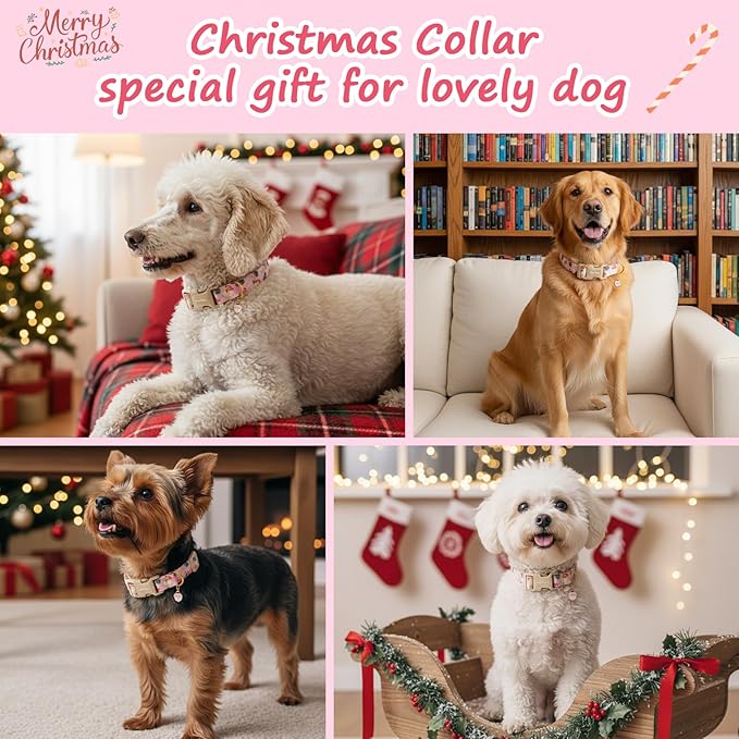 Christmas Dog Collar for Extra Small Dogs, Adjustable Poly-Cotton Fabric Collar with Santa Pattern, Cute Pink Dog Collar for Dogs, Small Dog Collars Girls Dog Collars
