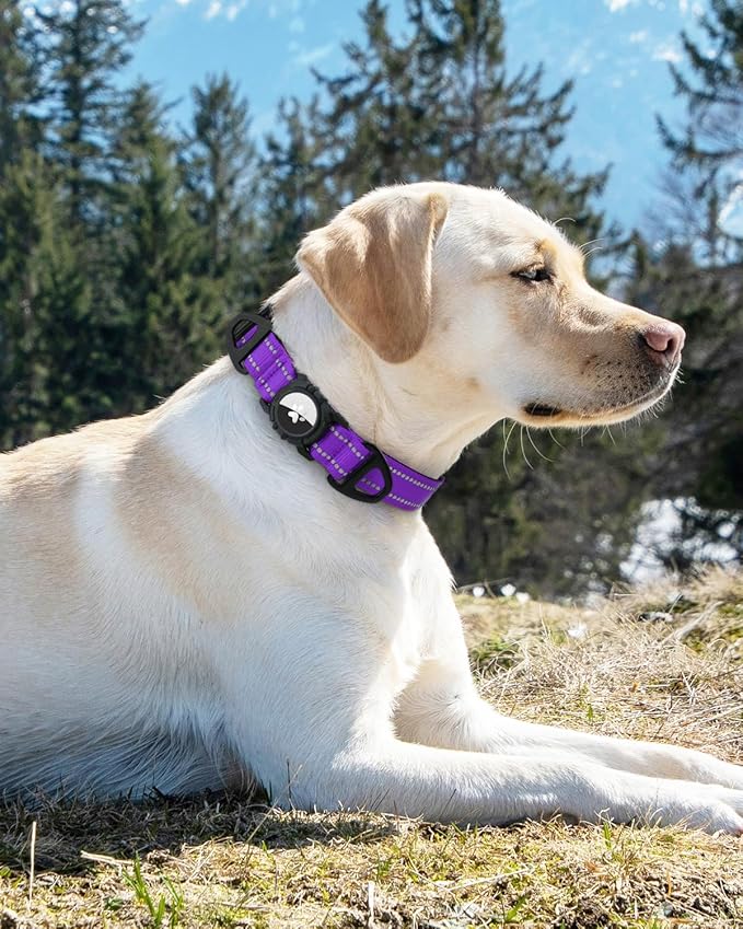 Joytale Airtag Dog Collar, Reflective Pet Collar with Waterproof AirTag Holder, Dual D-Rings, Soft Padded Adjustable for Medium Dogs, Purple, M
