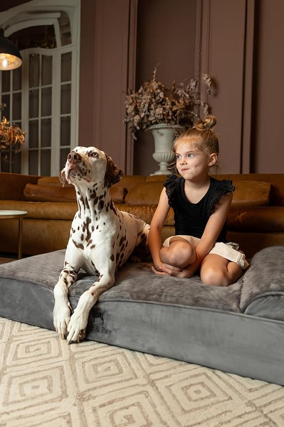 NOAH & PAW XL Dog Bed, 45x35x9.1 Inch, Orthopedic Large Dog Beds, Eggshell Memory Foam Infused with Cooling Gel, Waterproof, Machine Washable, Includes Inner Cover (Velvet Collection)