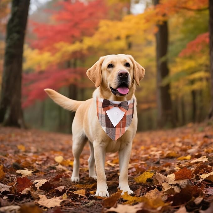 ADOGGYGO Fall Dog Tuxedo Bandana, Orange Plaid Pet Fall Collar with Bowtie, Adjustable Halloween Thanksgiving Costume for Large Dogs (L)