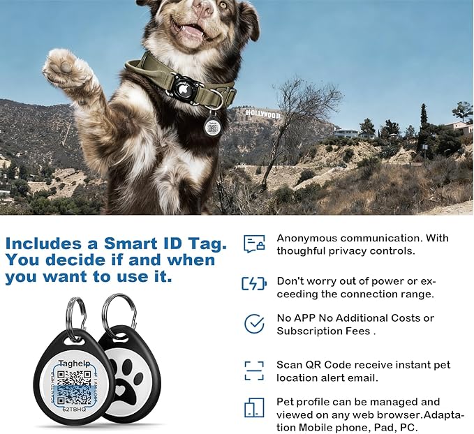 2 Pack QR Code Dog ID Tags for Collar, Personalized Smart Dog Tag with Online Profile, Scan to Contact Owner & View Medical Info, No App No Subscription, Anti-Lost (1.2")