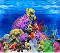 Fish Backgrounds Paper Double Sides Undersea Aquarium Background Poster Colorful Sea Anemone Fish Tank Background Sticker Decorations 16"x 33"