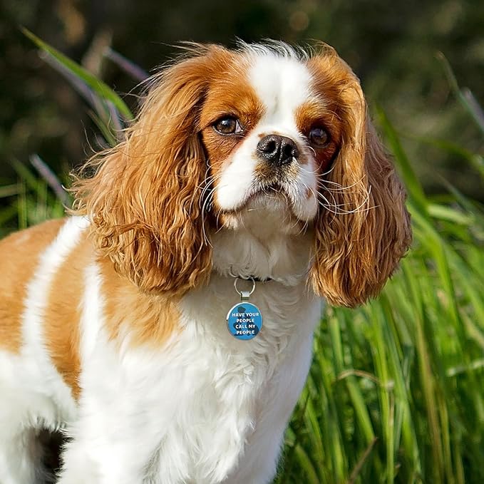MYLUCKYTAG QR Code Pet ID | Personalized Dog & Cat Collar Tag | Online Profile with Instant Scanned Location Alert Email