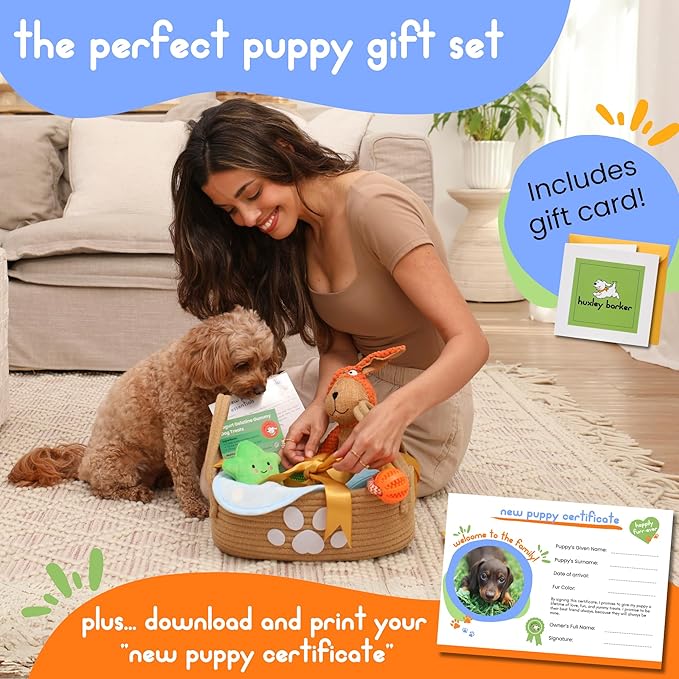 Premium Puppy Starter Kit - New Puppy Gift Basket with Essentials, Toy Box, Treat Tray, Training Supplies, Chew & Squeaky Toys for Puppies and Small Dogs - Complete Dog Must Haves for New Dog Owners