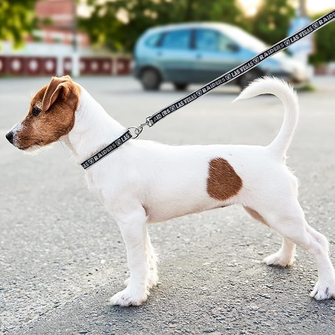 Pets First NFL Raiders Licensed PET COLLAR, Medium - Heavy-Duty, Strong, and Durable Dog Collar. Available in 31 Football Teams and 4 Sizes