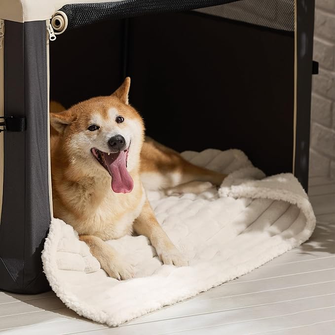 Bedsure ComfyFleece™ Waterproof Dog Blankets for Large Dogs - Soft Pet Cat Blanket Corduroy Fleece for Couch Protector Washable, Cozy Calming Reversible Furniture Protection,40"x50", Cream