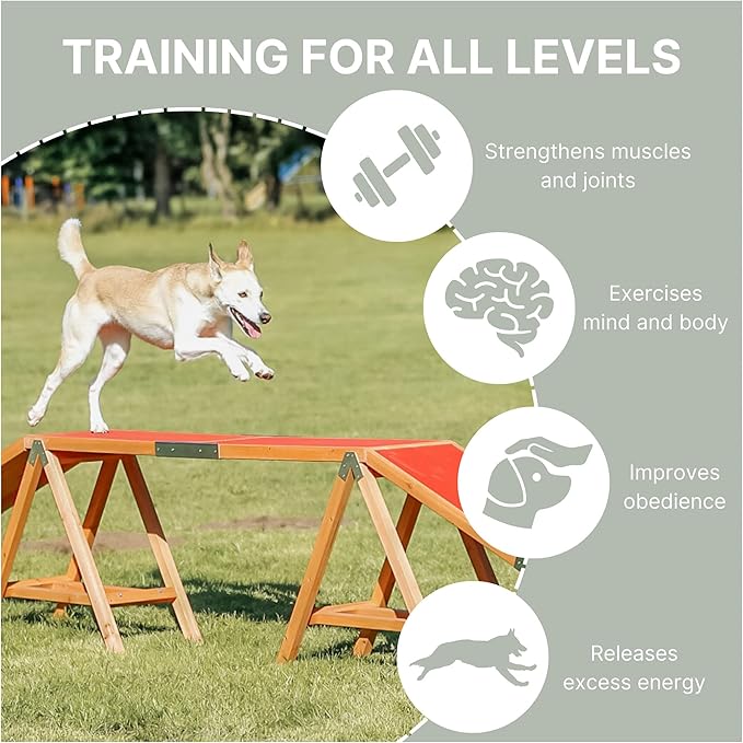 Trixie Dog Agility Walk and Ramps – Dog Obstacle Training Equipment Training Equipment for Indoor and Outdoor Use – 179.5 × 11.8 × 25.2 in
