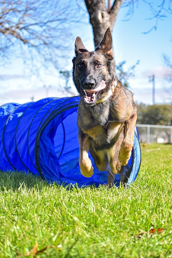 Better Sporting Dogs 10 Foot Dog Agility Tunnel with Sandbags | Dog Agility Equipment | Dog Agility Training