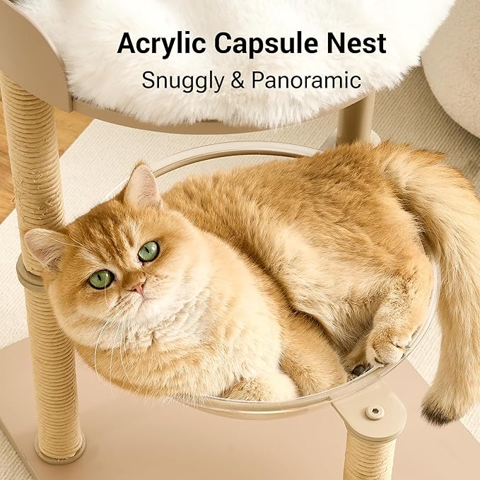Modern Cat Tree Tower for Indoor Cats up to 12lbs, 34" H Furniture-Style Metal Cat Tower with Scratching Posts, Wood Cat Bed with Soft Plush Cushion Washable, Acrylic Capsule, Cream Beige