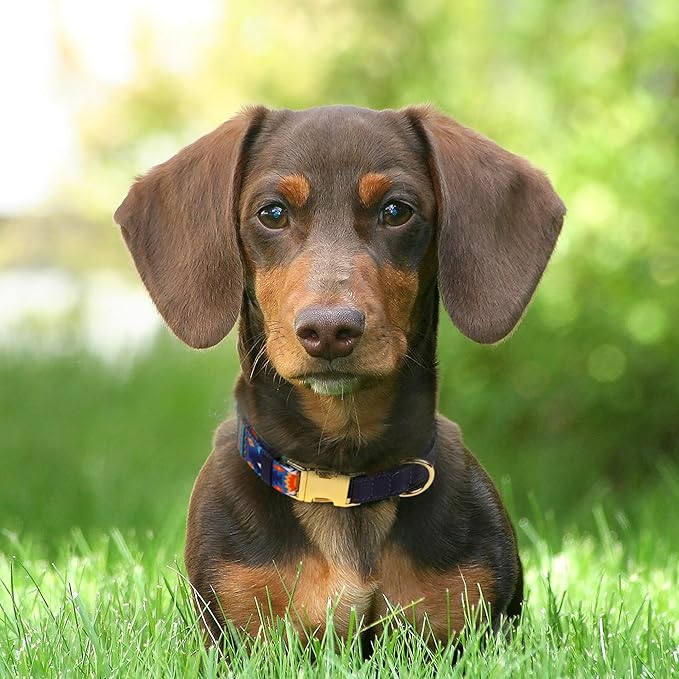 AirTag Dog Collar for Small Medium Large Breed - Adjustable Cute Pattern Dog Collar with Airtag Holder - Soft Leather Tracker GPS Apple Air Tag Pet Collars (Large, 17"-21" Neck Fit, Navajo)