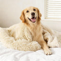 gogobunny Waterproof Dog Blanket for Couch & Furniture Protection - Super Soft Reversible Throw for Large Dogs & Cats, Calming Washable Fur & Sherpa Pet Blanket (50x60 Inch, Beige)