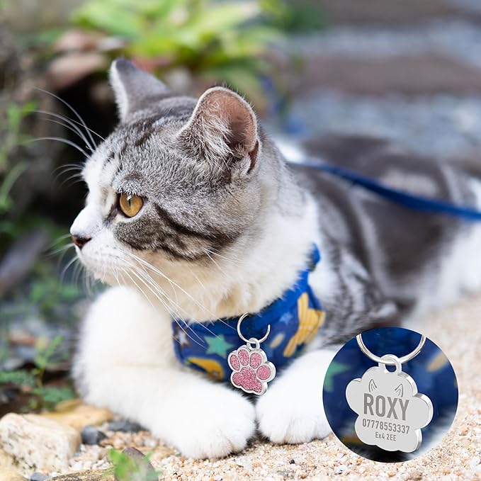 EDSG Cat Dog Tags Personalized for Pets, Dog Name Tags Cat Name ID Tag, Engraved Dog Tags Dog ID Tags Small Glitter Bling ID Tag Paw Print for Cat Pet Dog Puppy(Pink,Design 3)