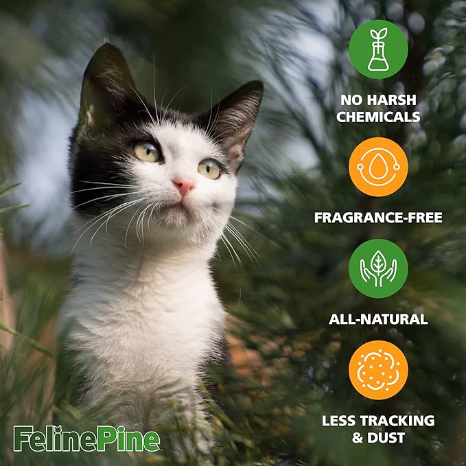 Feline Pine Platinum Non-Clumping Cat Litter, Feline Pine Cat Litter 18lb (Pack of 2)