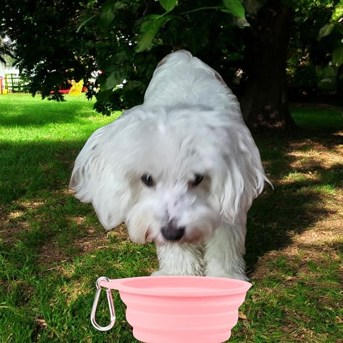Pet Accessories Set, Pink Towel with Paw Print and Bone Designs, Collapsible Bowl, Waste Bag Dispenser
