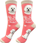 E&S Pets Pet Lover Socks - Dog & Cat Socks - Unisex Novelty Gifts
