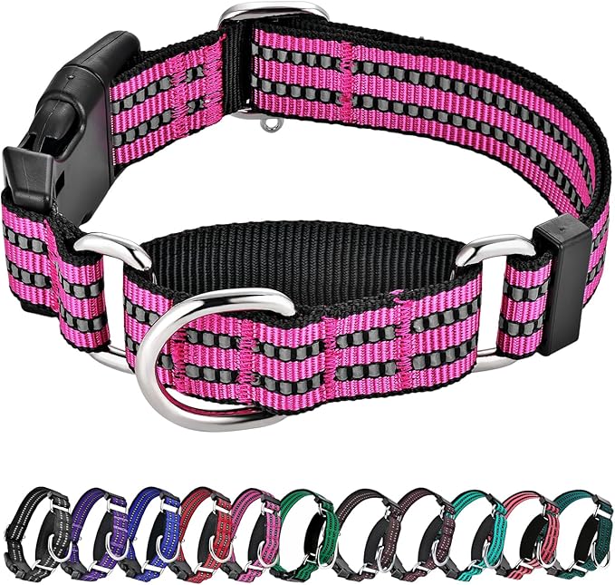 Hikiko Martingale Dog Collars Reflective Nylon Dog Collar with Quick Release Buckle Adjustable Training No Slip Dog Collar (Medium, Pink)