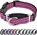 Hikiko Martingale Dog Collars Reflective Nylon Dog Collar with Quick Release Buckle Adjustable Training No Slip Dog Collar (Small, Pink)