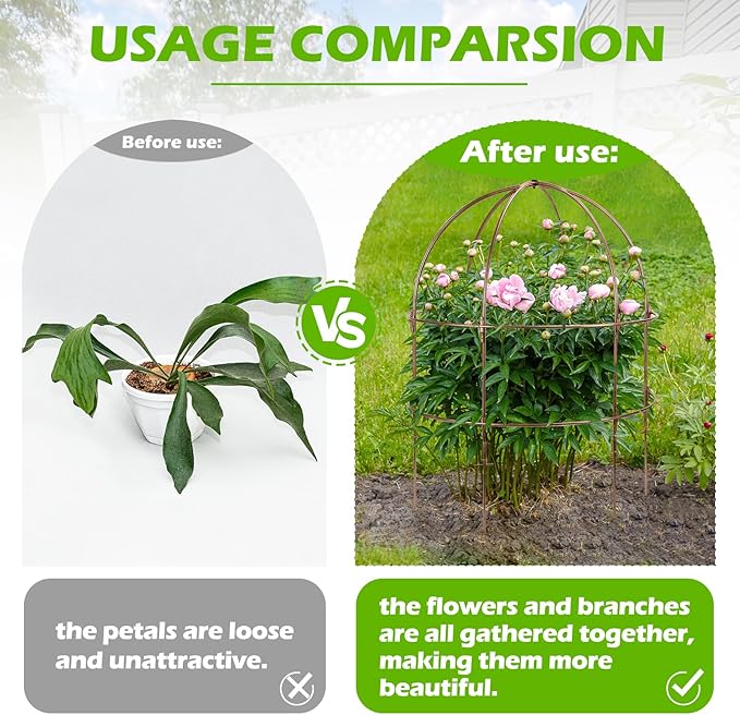 NNG 26 Inch Bird Cage Plant Support, Metal Grow Through Flower Trellis Cage with Dome Top, Garden Plant Support for Peonies Hydrangeas Tomatoes and Climbing Vines