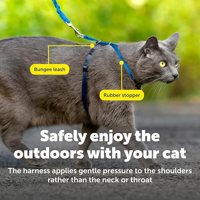 PetSafe Come with Me Kitty Cat Harness & Bungee Leash - Comfortable Cat Harness with Lightweight Bungee Leash for Outdoor Fun - More Secure Walks - Large - Royal Blue