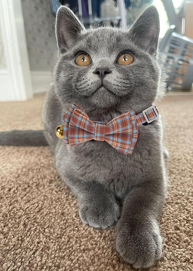 2 Pack Cotton Cat Collar, Removable Bowtie, Plaid Pattern, Safety Breakaway Clasp, Adjustable for Cats.(Adult Cat, Beige and Red)