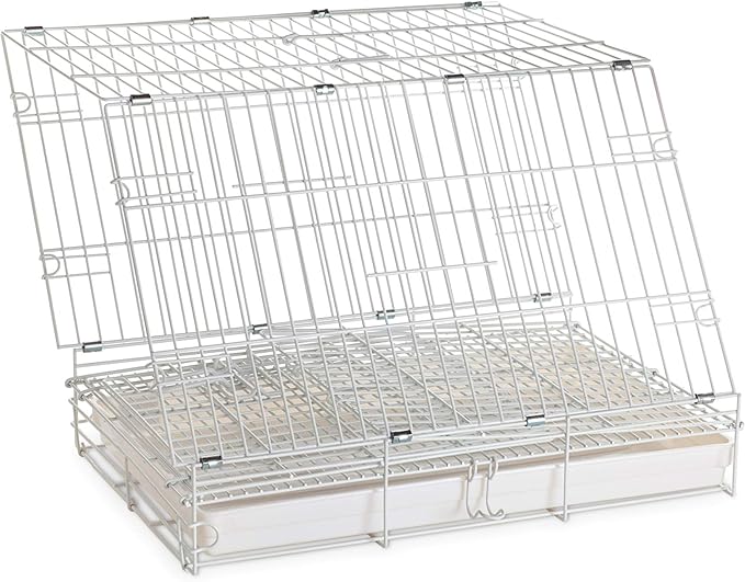 Prevue Hendryx Travel Bird Cage - Short Term Travel Cage, Carrier for Small Birds, Ideal for Small Conures, Parrots, Cockatiels, Parakeets, Includes Bowls and Perch - White