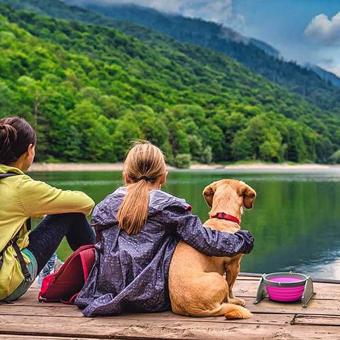 Loving Pets Bella Roma Collapsible Dog Bowls - Silicone Dog Bowls, Foldable Bowl, Puppy Essentials & Hiking Pet Supplies Great for Home & Travel (Pink, Small)