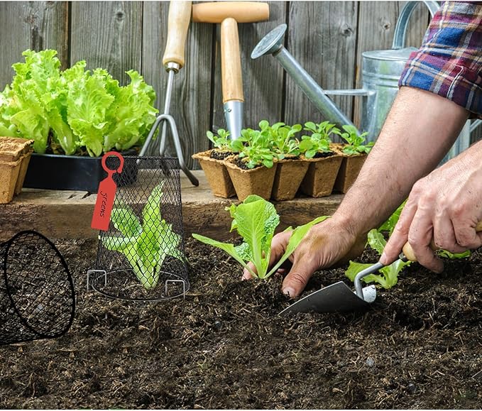 20 Pcs 6.8"×7.4" (Multiple Sizes/Quantities Available) Seedling Plant Protectors from Animals, Chicken Wire Plant Cage Garden Cloche to Protect Plants Vegetables from Rabbits Squirrels Chicken ﻿