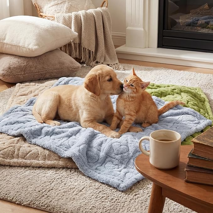 Tegeme 3 Pcs Small Dog Blanket 280 GSM Washable Pet Bed Cover Soft Fluffy Puppy Blanket 3D Textured Heart Checkered Pattern Fleece Soft Cat Plush Pet Throws for Kitten Doggy(Vibrant Colors,20"×30")