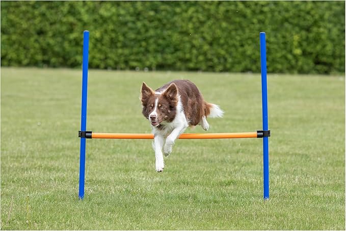 TRIXIE Agility Hurdle Adjustable Dog Jump, Ideal for Beginners & Advanced, Dog Obstacle Course Equipment 1 x Hurdle
