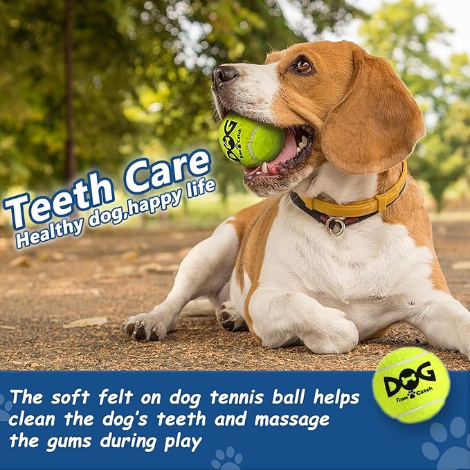 Squeaky Tennis Balls for Dogs - Bulk 50 Pack 2.5'' Durable Non-Toxic Outdoor Dog Toys Balls with Mesh Bag, SGS Certified, Colorful Fetch Toys, Medium Large Breeds