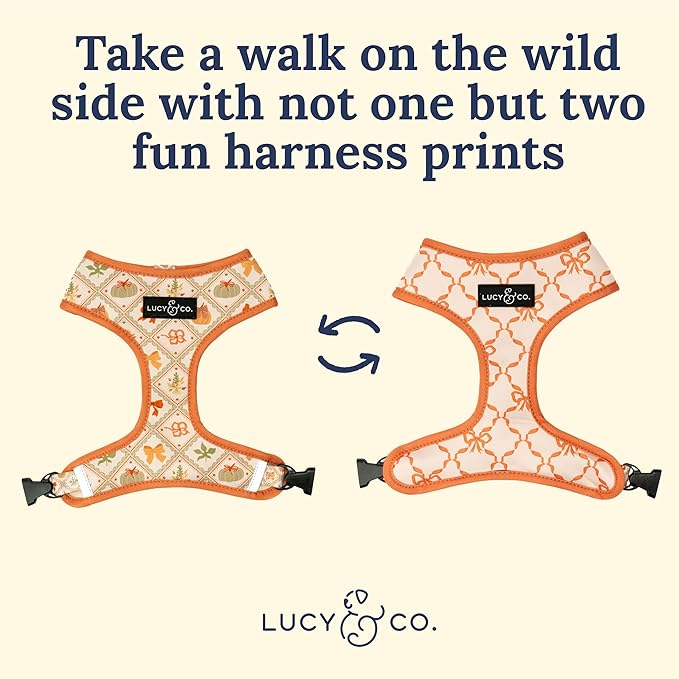 Lucy & Co. Cute Reversible Dog Harness Walking Halter - Best Designer Pet Harnesses for XS - XL Dogs - Padded Adjustable Vest for Easy Walking-X-Small-Orange Cream Pumpkin
