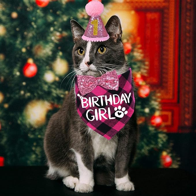 STMK Cat Birthday Decorations, Cat Birthday Hat with Numbers Bandana Bow Tie Collar for Cats Kittens Birthday Outfits (Pink)