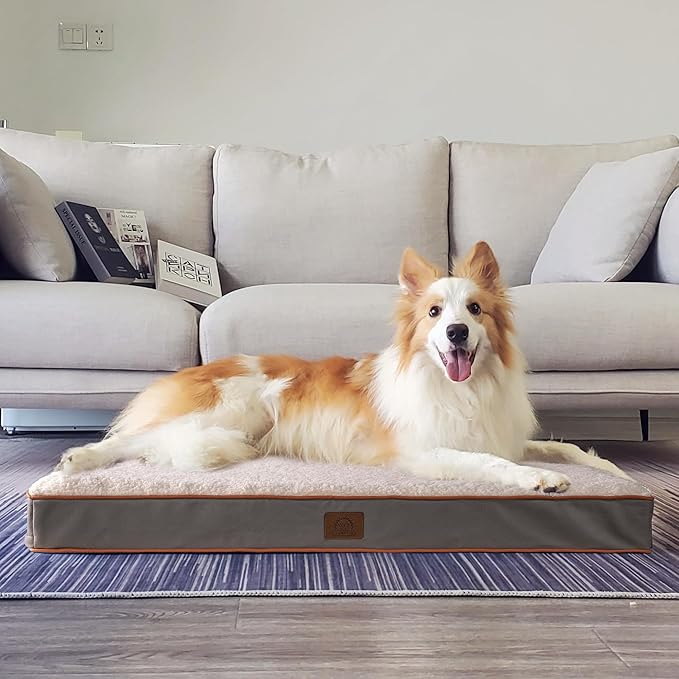 Sunheir Orthopedic Dog Beds for Small Dogs, Waterproof Puppy Bed with Removable Washable Cover, Non-Slip Bottom and Egg-Crate Foam, (Light Grey, 24.0" L x 16.0" W x 3.0" Th)