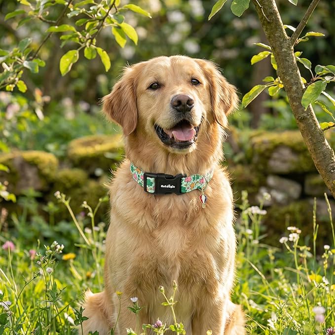 St. Patrick's Day Dog Collar,Puppy Collar with Lucky Shamrock Chequered Pattern,Adjustable Spring Cotton Collars Gifts for Small Medium Large Dogs,Dog Accessories L